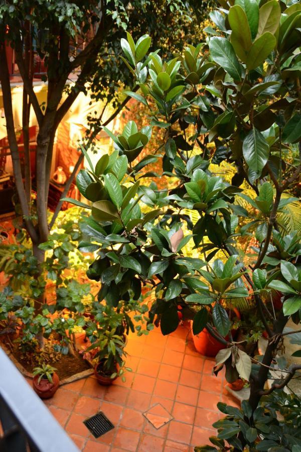 Hotel Casa Guiva Oaxaca Extérieur photo