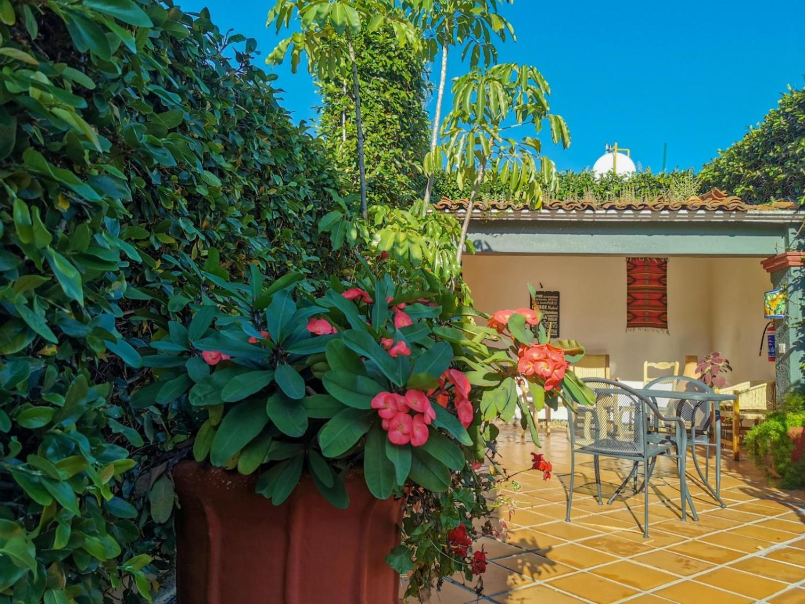 Hotel Casa Guiva Oaxaca Extérieur photo